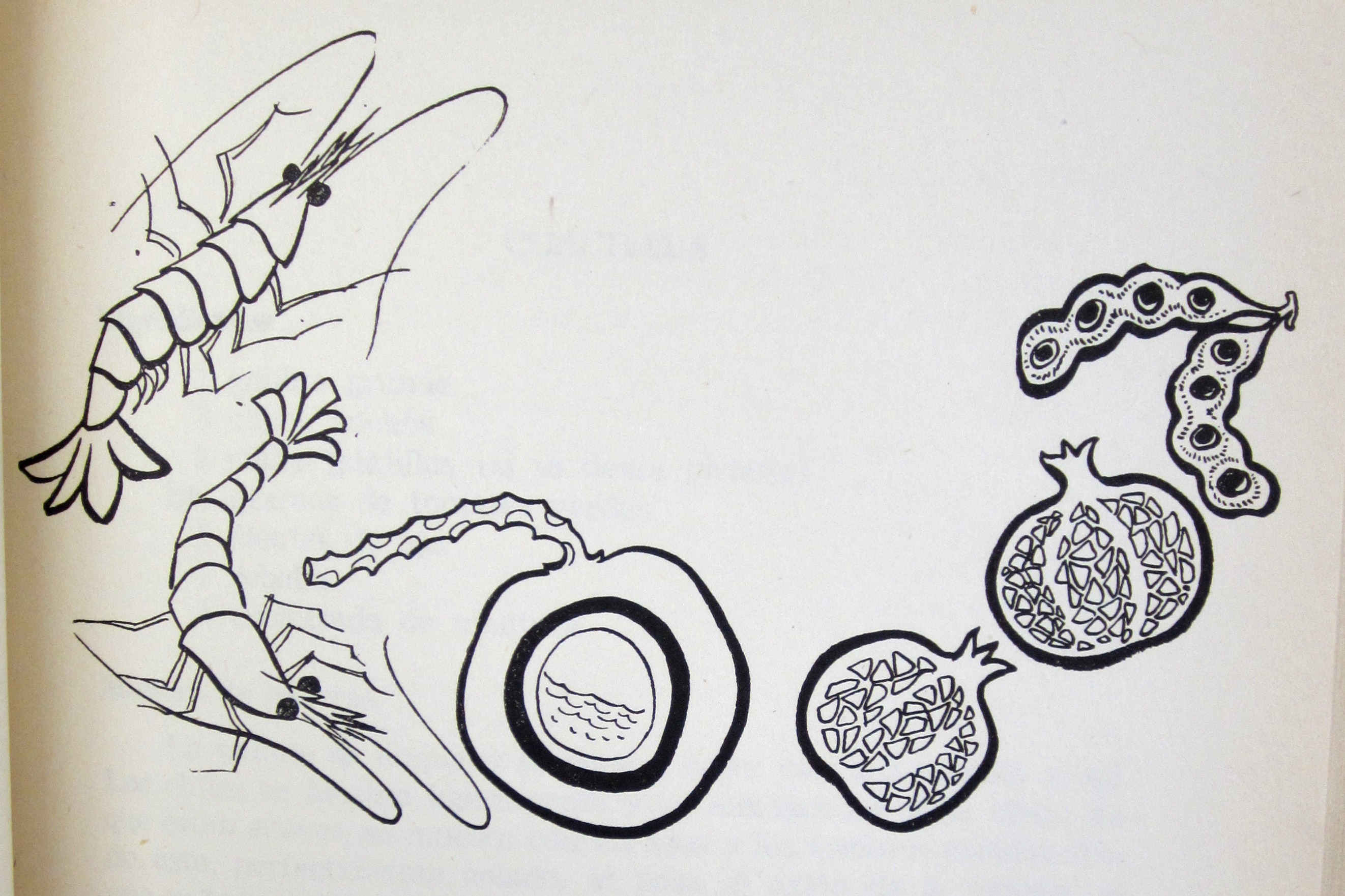 Detail of Colima chapter illustration. Las Senadoras Suelen Guisar, ([Mexico City?], México: Instituto Nacional de Protección a la Infancia, 1964), 33.  