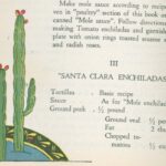 “ORGANOS”. Candle cactus….140