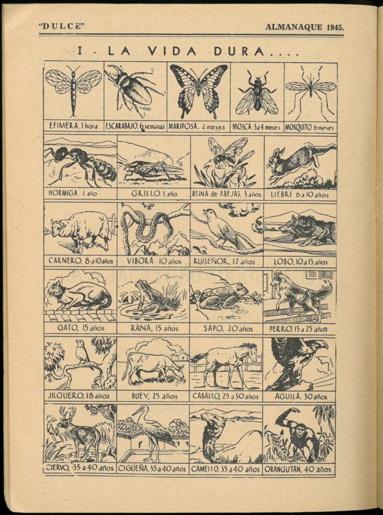 Almanaque Dulce 1945. Unión Nacional de Productores de Azúcar (Mexico). UTSA Libraries Special Collections.