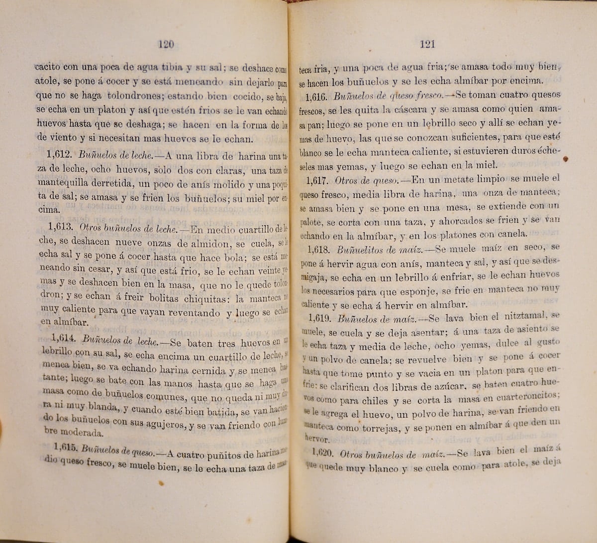 Buñuelos de Leche 1881 (Milk Fritters)